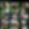 [AssholeFever.com / 21Sextury.com] Miranda Miller - My Anal Maid [2018-08-25, Anal, Brunette, Deep Throat, Lingerie, Natural Tits, Outdoors, Straight, Cum On Ass, 720p] thumb