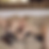 [WhenGirlsPlay.com / Twistys.com] Aiden Ashley, Charlotte Stokely (No You're Pretty / 04.05.15) [2015 ., Close Up, Oral Sex, Stockings-Pantyhose, Shaved Pussy, Small Boobs, Trimmed Pussy, Natural, 1080p] thumb