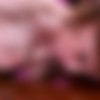 [BangMyTrannyAss.com/ShemaleStrokers.com] TS Jesse Bangs TS Jasmine Jewels/     ! [2009 ., Transsexuals, Shemale, Tattoed, Anal, Oral, Blowjob, Lactation, Shemale on Shemale, Cumshot, SiteRip] thumbnail