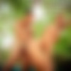 [DrillMyHole.Com/Men.com] Men in Ibiza Part 3 (Paddy O'Brian & Tony Gys) [2014 ., Anal/Oral Sex, Big Dick, BlowJob, Muscle, Hairy, Kissing, Rimming, Outdoors, Masturbation, Cumshot, 720p] thumb