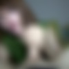 [LadyboysFuckedBareBack.com] Ploy - Cum Covered Anus (30.12.13) [2013 ., Ladyboy, Transsexual, Hardcore, Anal, Bareback, 720p, SiteRip] thumb