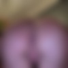 [OF-MollyMercedes aka ThatYoungBlonde] Hard-Anal Creampie Sextape 2025 [1920p] - PPV thumb
