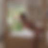 [InTheCrack.com] Lia Lin (#1850) [2023-08-08, Close Up, Posing, Solo, 2160p, SiteRip] thumb