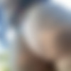 [Onlyfans.com] blxxdbunny - Photo Pack [2021-25, Amateur, All Sex, Anal, Squirt, Couple, Masturbation, Big Ass, Toys, Dildo, BJ, HJ, Roleplay/Cosplay, Lingerie, Heels, Curvy, Photo Set, Posing, Stockings and Pantyhose, Tattoo, Alt Girl, USA,  6891280  3840x3360, 2893 .] thumb