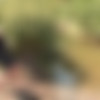 [MySexyKittens.com] Horse Girl [2015 ., Young, Outdoor, 720p] thumb