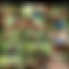[CockyBoys.com] Logan Moore & Alex Mecum Flip-Fuck [2015 ., Anal Sex, Flip-Flop, Blowjob, Kissing, Rimming, Jocks, Outdoors, Tattoos, Hairy, Muscles, Uncut, Cumshots, 720p] thumb
