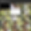 [BareMaidens.com] 2015-06-22 - Danicole of May - Inspired [Solo, Masturbation, 1080p] thumb