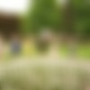 [LJ, runetki, VK.com, others] JetSetGirl [2011-12 ., Nude, Solo, Toys, CamRip] thumbnail