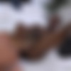 [BlacksOnBlondes.com / DogfartNetwork.com] Hollie Mack [1080p/05.05.2015 ., Blonde, Tattoos, Trimmed Pussy, Natural Tits, Small Tits, Interracial, Big Black Cock, Oral, Ball Licking, Anilingus, Cum In Pussy] thumb