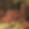 [2010 ., All Sex, SiteRip] thumb