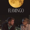 Flamingo [2020] / 720p / WEB / H264 / EAC3 / Subs / MKV / playWEB thumb