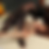 [BrothaLovers.com / Interracialsexx.com] Alice Green & Lowtru [2015 ., 4K, Black, Interracial, BDWC, Blowjob, All sex, 2160p] thumb