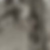 Volo - Nude Art thumbnail