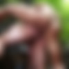 [SuperGayHero.com / Men.com] Tarzan: A Gay XXX Parody Part 2 (Diego Sans, Tobias) [2016 ., Muscle, Anal/Oral Sex, Big Dick, BlowJob, Hairy, Rimming, Outdoor, Cumshots, Masturbation, 1080p] thumb