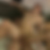 [CFSelect.com/CorbinFisher.com] CFS0372 - Hunter & Ashton's Morning Fuck [2013 ., Anal Sex, Bareback, Blowjob, Cumshots, Facial, Flip-Flop, Hardcore, Kissing, Muscles, Masturbation, Tattoos., 720p] thumb