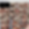 [SeanCody.com] SC-1865 Jack & Randy: Bareback [2014 ., Anal Sex, Bareback, Blowjob, Bodybuilders, Creampie (Internal cumshot), Cumshots, Fingering, Hairy Ass, Kissing, Masturbation, Muscles, Uncut., 720p] thumb