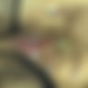 [Mature.nl] Laura S. (38) [720p/26.01.2015 ., MILF, Brunette, Natural Tits, Big Tits, Big Ass, Stockings, Shaved Pussy, Titty Play, Masturbation, Solo, Dildo ] thumb