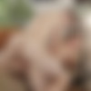[Staxus.com] Bareback Fuck Date, Sc.2: Horny Pups Relish A Mouthful Of Hard Cock & A Tight Fresh Ass! (Julian Fox, Mark Flynn) [2017 ., Blowjob, 69, Anal, Rimming, Bareback, Big Dick, Shaved, Masturbation, Kissing, Facial Cumshot, Twinks, 720p] thumb