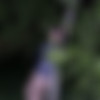 ?) [2015 ., Blowjob, Big tits, Deep Throat, Cum shots, CamRip] thumb
