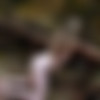 [TheLifeErotic.com] 2015-10-27 Nicolette A (Natures Wonders 2) [2015 ., Solo, Masturbation, 1080p] thumb