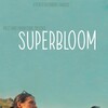 Superbloom [2025] / H264 / MKV / WEB / 1080p / AC3 / Subs / BYNDR thumb