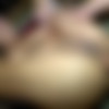 [PrivateSociety.com] Karla (They Speak The Same Language) [2022-11-09, Anal, 1 On 1, Milf, Blowjob, Hardcore, Doggy Style, Cowgirl, Missionary, Tattoo, Fake Tits, Fingering, Amateur, Trimmed, Big Cock, Ass To Mouth, Latina, Mature, Pussy Fingering, Cunnilingus, Anal Missionary, Glasses, Dirty Talk, Anal Creampie, Older Female Younger Male, Colombian, Big Clit, Latina Milf, Spanish Language, Thick Cock, 1080p] thumb