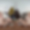 [CzechVRCasting.com] Julia Cute - Cute Casting (CzechVRCasting 251) [28.04.2025, Big Ass, Blonde, Blowjob, Bra, Casting, Chubby, Close ups, Cowgirl, Croptop, Cum in Mouth, Curvy, European, Hardcore, Lingerie, Long Hair, Missionary, Pale, Panties, POV, Pussy Closeup, Reverse Cowgirl, Shaved, Skirt, Small Boobs, Tattoo, Teasing, Trimmed, Wet Pussy, Virtual Reality, SideBySide, 8K, 3840p, SiteRip] [Oculus Rift / Quest 2 / Vive] thumb