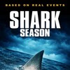 Shark Season 2020 1080p BluRay x264-OFT thumb