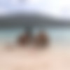 [InTheCrack.com] #756 Cindy Starfall & Vicki Chase [2013 ., Lesbo, Closeups, Masturbation, Peeing, 1080p] thumb