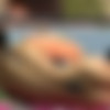 [Jackass-tube.com/Jackass.xxx] Jackass Nude Beach 29 HD [2012 ., voyeur, nudism, 720p, SiteRip] thumb