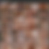[Lily Blossom / Lilly Blossom - PART 2] (42 ) Pack [2025-2026, Anal, Big Tits, Creampie, Deep Throat, Facial, 1080p] thumb