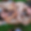 [Mike18.com]    mike18 / Boys from Mike18 [22] [Gayphoto] [2005 ., RUS, 2000+ , JPG] thumbnail