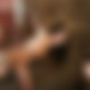 [SexAndSubmission.com / Kink.com] (694) SexAndSubmission 2005-2018 [BDSM, Anal, All Sex, Bondage, Hardcore, Domination, Submission] [1200x800, 1131x655, 800x565, 124395 , 694 ] thumb