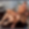 [RandyBlue.com] RB2561 Andrew & Marcel (Andrew Jakk & Marcel Cruz) [2012 ., Anal Sex, Blowjob, Cumshots, Facial, Hardcore, Kissing, Latinos, Masturbation, Muscles, Rimming, Uncut., 720p] thumb