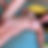 S3xus - 25.10.31 - Violet Voss - Enigmatic - 1080p thumb