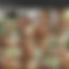 [trannyhookers.com] Paula Melo /    ! [2011 ., male on shemale, latin, blonde, prostitute, anal, oral, bareback, no condom, cumshot, SiteRip] thumbnail