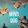 Inside the Mind of a Dog 2024 1080p NF WEB-DL DDP5 1 Atmos x264-OzONE thumb