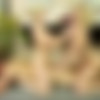 [NuruMassage.com / NuruNetwork.com] Zoey Monroe, Christie Stevens, Rocco Siffredi (Rocco Tries Nuru / 02.04.14) [2014 ., Anal, Big Tits, Blonde, Tattoo, Shower, Blowjob, Jacuzzi, Titjob, Deepthroat, Hardcore, Natural Tits, 720p] thumb