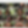 [ColombiaFuckFest.com / BangBros.com] Sofia ( Fucking Colombian Amateur Tight Pussy Is... / cff12911 / 08.03.14) [2014 ., Amateur, Big Ass, Big Natural Tits, Blowjob, Brunette, Cumshot, Facial, Handjob, Hardcore, Latina, Natural Tits, 720p] thumb
