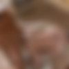 [LucasEntertainment.com] Cabin Retreat /   (1-6 ) [2012 ., Muscles, Oral/Anal Sex, Big Dick, Tattoos, Rimming, Fingering, Outdoor, Masturbation, Cumshot, 720p, SiteRip] thumbnail