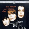 If These Walls Could Talk 1996 NTSC DVD DD2 0 MPEG-2 REMUX-S0NNY thumb
