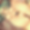 [ART] Collection - Anal (Before and After) /  -  (  ) [ptcen] [Anal, Ass, Glasses, Creampie, Big Tits, Small Tits, Huge Tits, Paizuri, Smile, Bondage, Neko/Catgirl, Bunnygirl, Cowgirl, Titsjob, Lactation, Masturbation, Toys, Ahegao, X-Ray, Young, Vaginal, Anal, reampie, BDSM, Vibrator, Anal Beads, Lesbian/Yuri, Asphyxiation, Blowjob, Mind Break, Deepthroat, Defloration, Drugs, Rape, Teen] [JPG, PNG] thumbnail