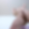 [SheMaleStrokers.com / TransationalFantasies.com] Kitty Kaiti / Cute Flat Chested Tranny With Small Cock Jerks Off (22 Jan 2021) [2021 ., Shemale, Solo, Masturbation, 1080p, SiteRip] thumb