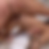 [Hustler.com] Ashley Adams - My Teenage Stepsister (12.12.2019) [2019 ., Big Ass, Big Cock, Big Tits, Brunette, Cumshot, Hardcore, Oral, 1080p] thumb