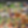 [Peesquad.com / Tainster.com] SHE DOES IT ALL! / 19.11.14 [2014 ., All Sex, Group, Anal, Blouses, Bukkake, Gangbang, Pissing, Hardcore, 540p] thumb