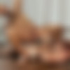 [KristenBjorn.com] Raw Adventures, sc. 2 - The Obelisk: Jalil Jafar, Felipe Ferro [2014 ., Anal Sex, Bareback, Blowjob, Cumshots, Flip-Flop, Hairy, Kissing, Masturbation, Mature, Muscles, Rimming, Uncut., 720p] thumb