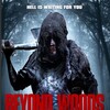 Beyond the Woods 2018 1080p AMZN WEB-DL DD+ 2 0 H 264-GPRS thumb