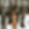 [Nude-In-Russia.com] Nude In Russia - SiteRip  2012  [Softcore, Exhibition (Exhibitionism)] [ 1600*1067  1800*1200, 11868  103 ] thumb