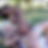 [BigTitsRoundAsses.com / BangBros.com] Jezabel Vessir (Big Natural Boobies TittyFucked! / 08.03.2015) [Amateur, Big Tits, Black Ebony, Blowjob, Brunette, Cumshot, Facial, Handjob, Hardcore, Interracial, Natural Tits, Tittyfuck, 720p, HDRip] thumb