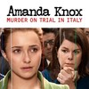 Amanda Knox: Murder on Trial in Italy [2011] / H264 / MKV / WEB / 1080p / AC3 / Subs / Scene / DiMEPiECE thumb